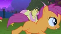 Scootaloo Wingless S1E17