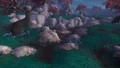 DampsoilBurrow.jpg