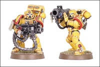 Imperial Fist Devastators