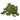 Nori-icon