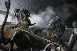 Wolf vs. Predalien