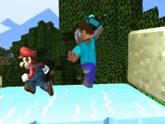 Ssbpsteve