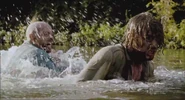 28WLinfectedInRiver