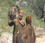 Cordovan