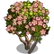 Crown Flower Tree-icon
