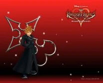 Roxas Org 13