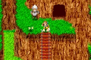 Cliff farm1
