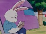 SillyRabbit