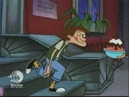 33