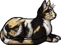 Dappletail.elder