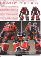 MsM-081
