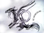 Ninja dragon