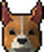 Corgi