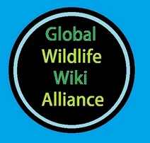 Global Wildlife Wiki Alliance
