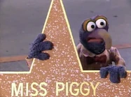 Piggy-hollywoodstar