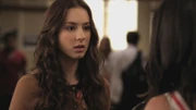 PLL207-00417