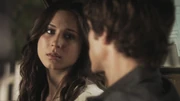 PLL211-00408