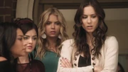 PLL211-00481