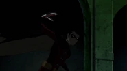Robin Birdarangs