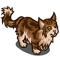 Brown Maine Coon-icon
