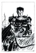 FFI Novelisation Amano Illustration 5