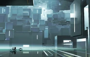T1