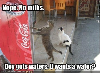 Cat with cola