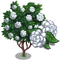 White Camellia Tree-icon