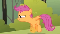 Scootaloo hooves off the ground S1E23