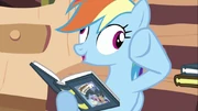Rainbow derp