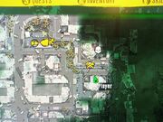 Downsized 0601022314