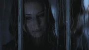 PLL217-00866