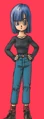 BulmaKanzenban