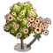 Tung Oil Tree-icon