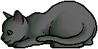 Toadstep.kit.alt