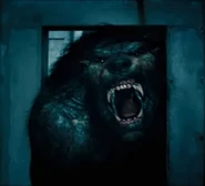Quint ferociously growling