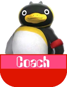 Coach MR
