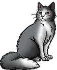 Petalfur.warrior