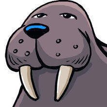 Fbwalrus