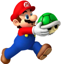 Mario Holding Shell