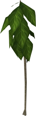Teaktree