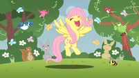 Flutterwonder by AK71