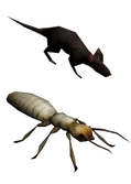 VB critters