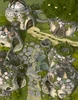 DaliVillageRoad
