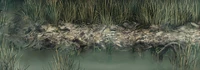 Qu'sMarshShore2