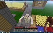 Iron golem attacking
