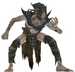 Falmer Nightprowler