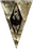 TESMorrowindIcon