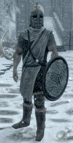 Winterhold Guard