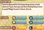 Nenufar dragon info